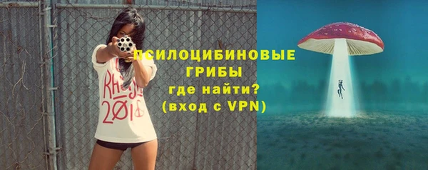 шишки Володарск